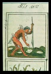An Aztec man planting maize, from the 